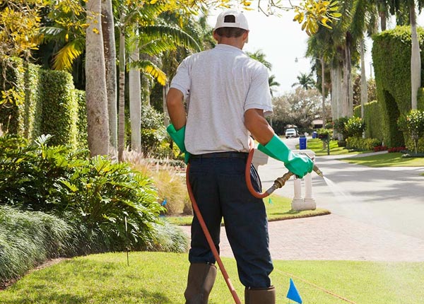 About Eagleville TN Pest Control Pros